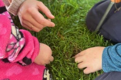 Bulb planting Keinton Mandeville 1.jpg